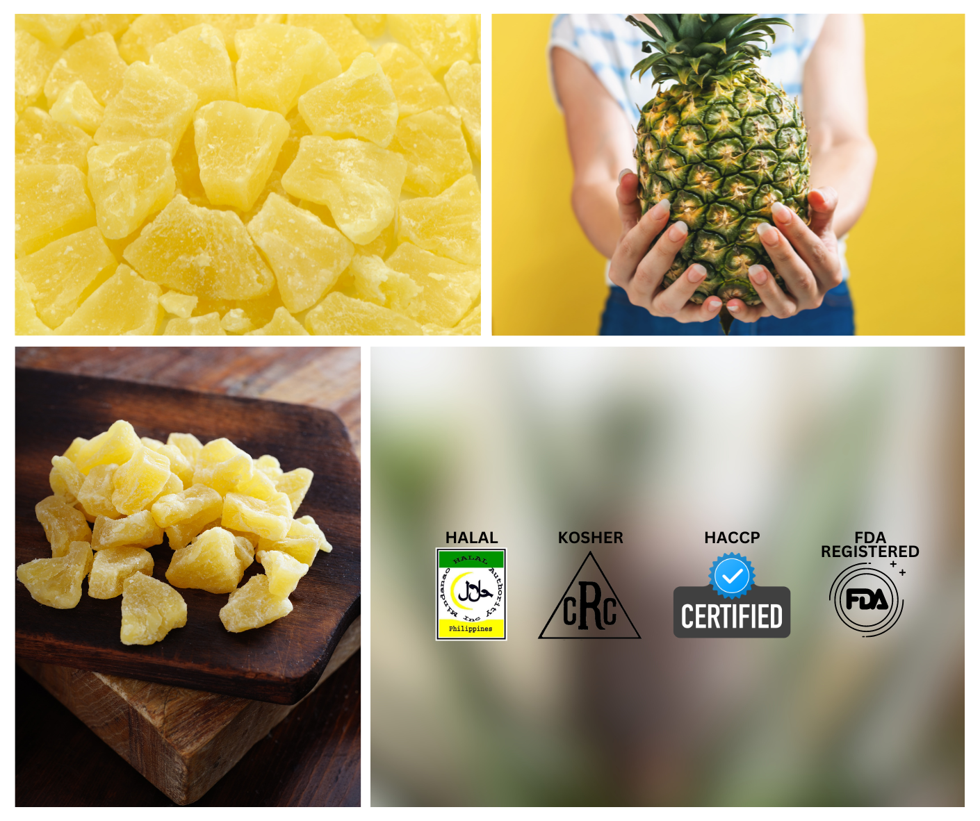 Dried Pineapple Chunks at Martsons Food Corporation